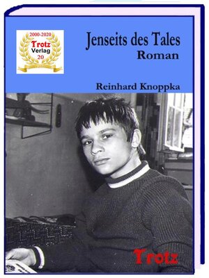 cover image of Jenseits des Tales